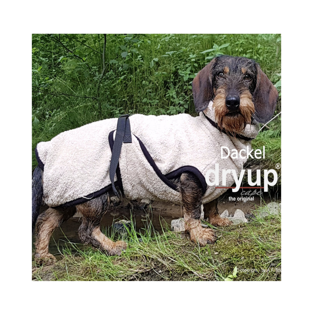 Hundebademantel DRYUP Cape Dackel sand Tragebild - actionfactory