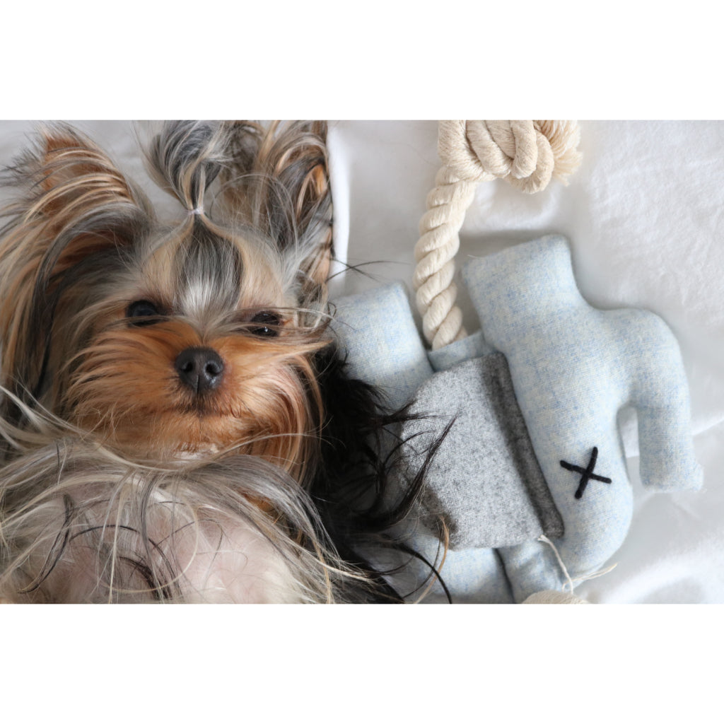 Hund neben Hundespielzeug Elephant EMMA - Lilly