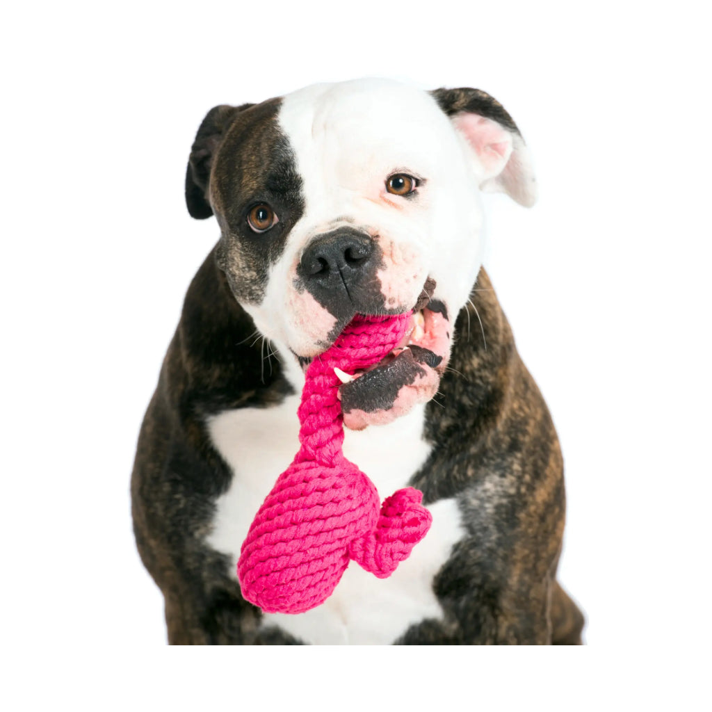 Hund mit Hundekauspielzeug Flamingo Franzi 2 - Laboni