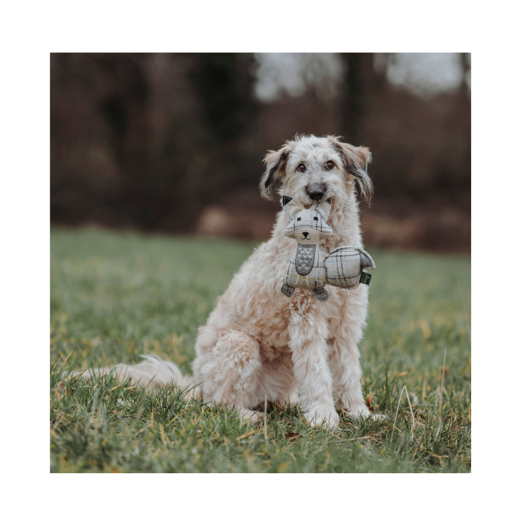 Hund mit Hundespielzeug Billund Fuchs 23 cm upgecycelt - HUNTER