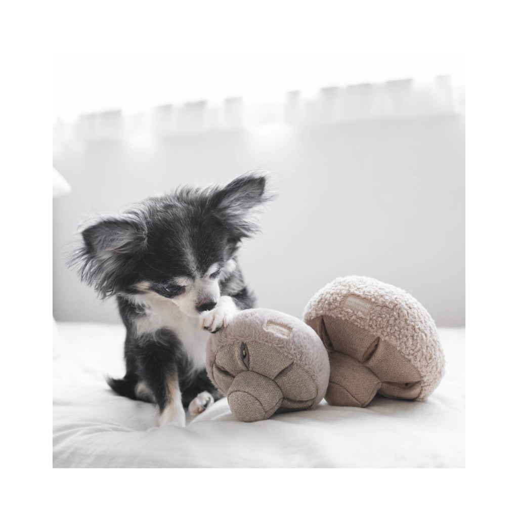 Größen GUU Schnüffelpilz Beige- Lambwolf Collective