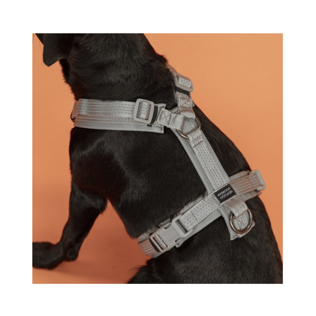 Tragebild Hundegeschirr AKTIV Grau vollreflektierend - Kentucky Dogwear