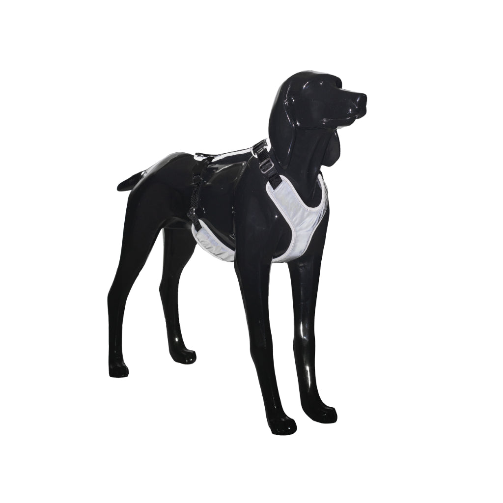 Geschirr Visibility Harness BLACK Reflektion - PAIKKA