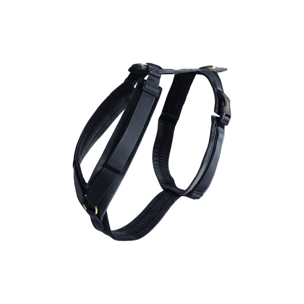 Hundegeschirr Aktiv VELVET Black - Kentucky Dogwear