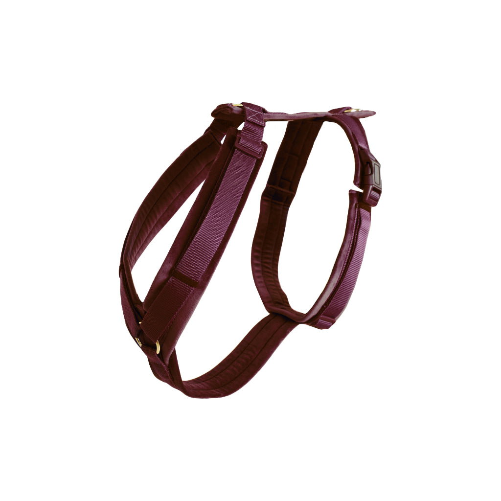 Hundegeschirr Aktiv VELVET Bordeaux - Kentucky Dogwear