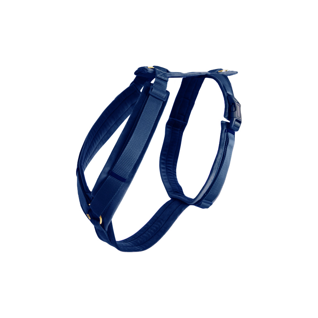 Hundegeschirr Aktiv VELVET Navy - Kentucky Dogwear