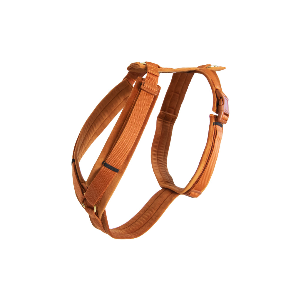 Hundegeschirr Aktiv VELVET Orange - Kentucky Dogwear