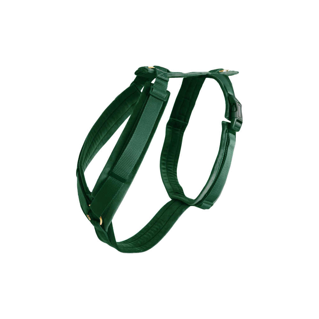 Hundegeschirr Aktiv VELVET Pinegreen - Kentucky Dogwear