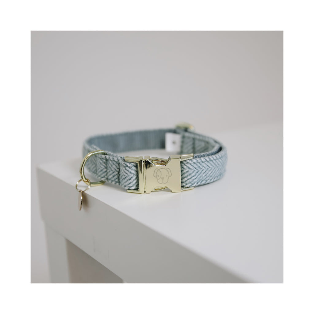 Halsband WOOL Hellblau 2 - Kentucky Dogwear