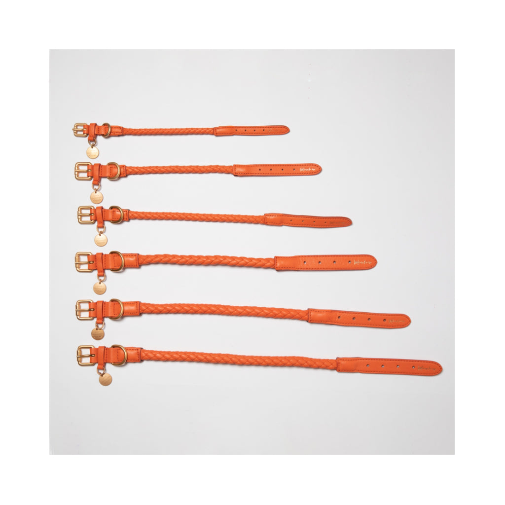 Größenvergleich Halsband FERDINANDO tangerine orange - 2.8 designs for dogs