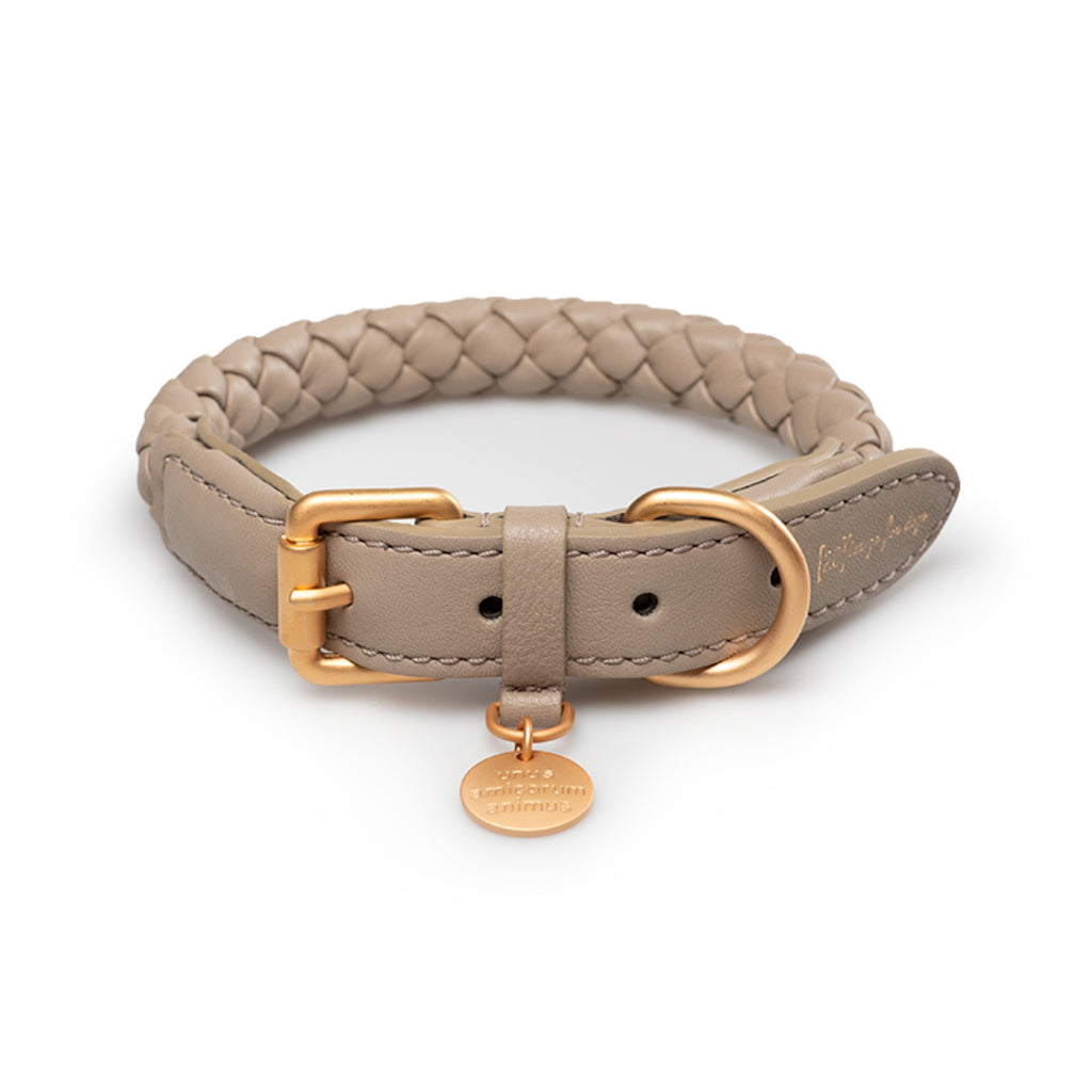Halsband FERDINANDO lazy taupe - 2.8 designs for dogs