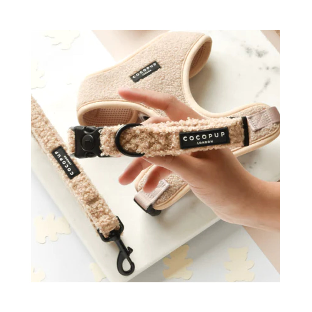 Halsband Teddy BEIGE Rupert - COCOPUP London