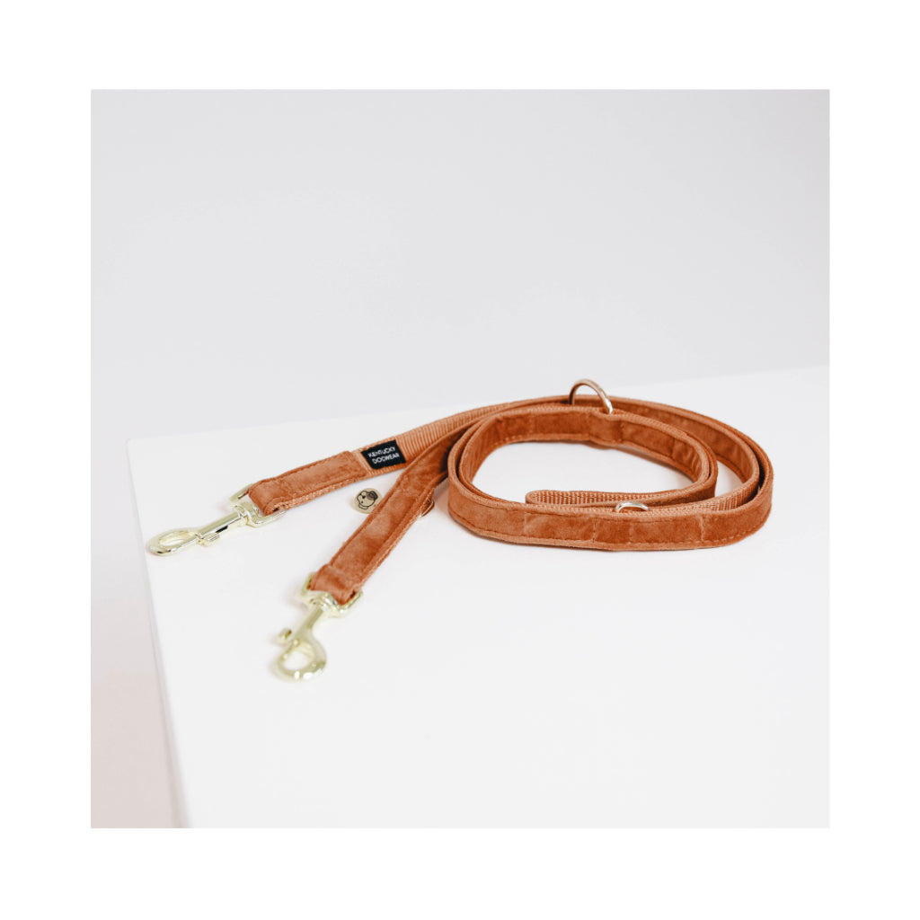 Hundeleine verstellbar VELVET Orange 2 - Kentucky Dogwear