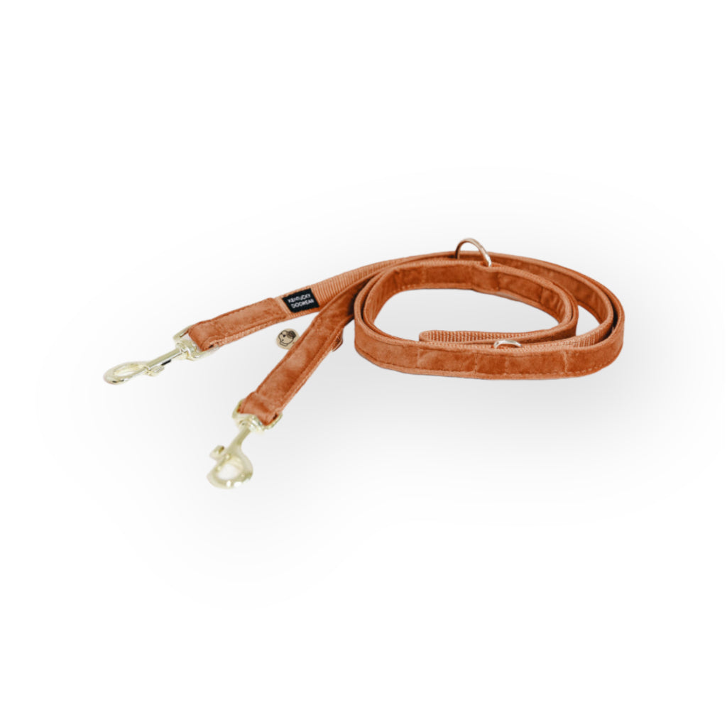 Hundeleine verstellbar VELVET Orange - Kentucky Dogwear