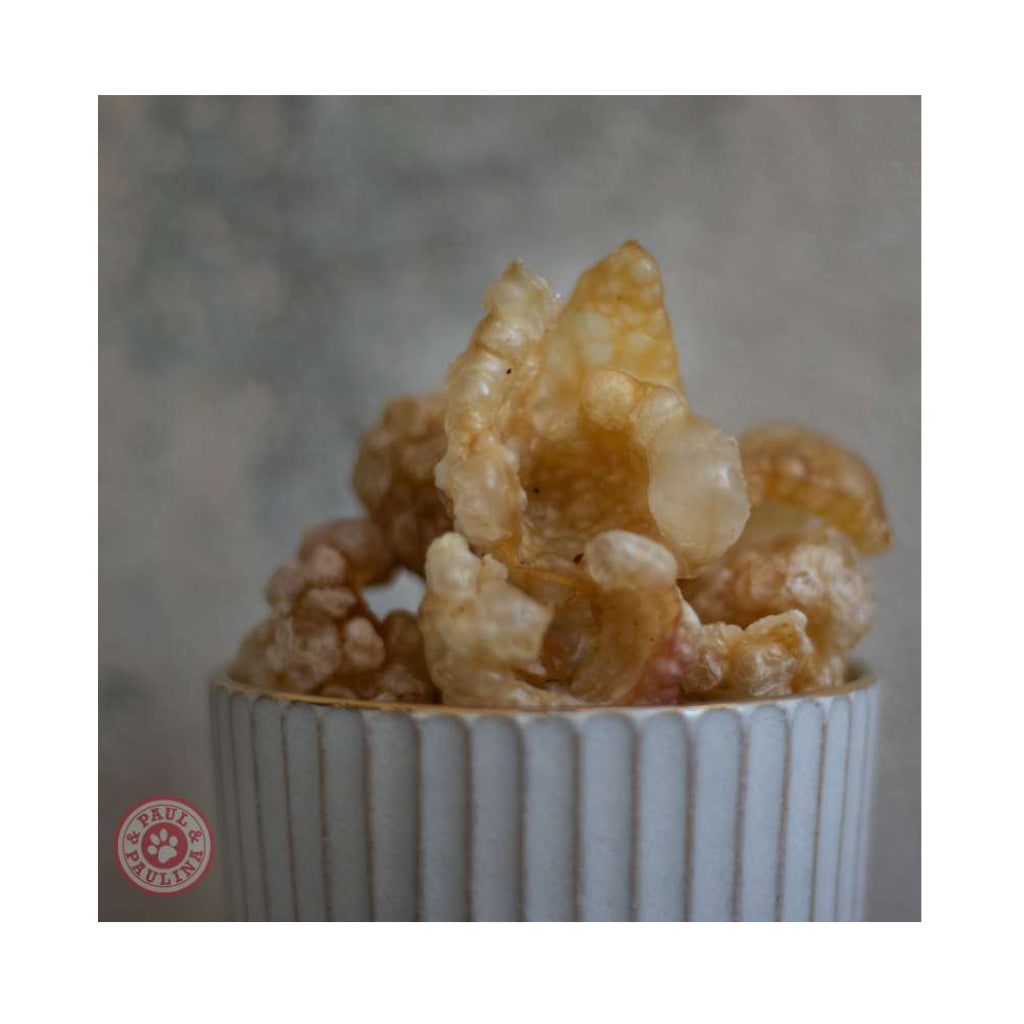 Hunde Popcorn 2 - Paul & Paulina