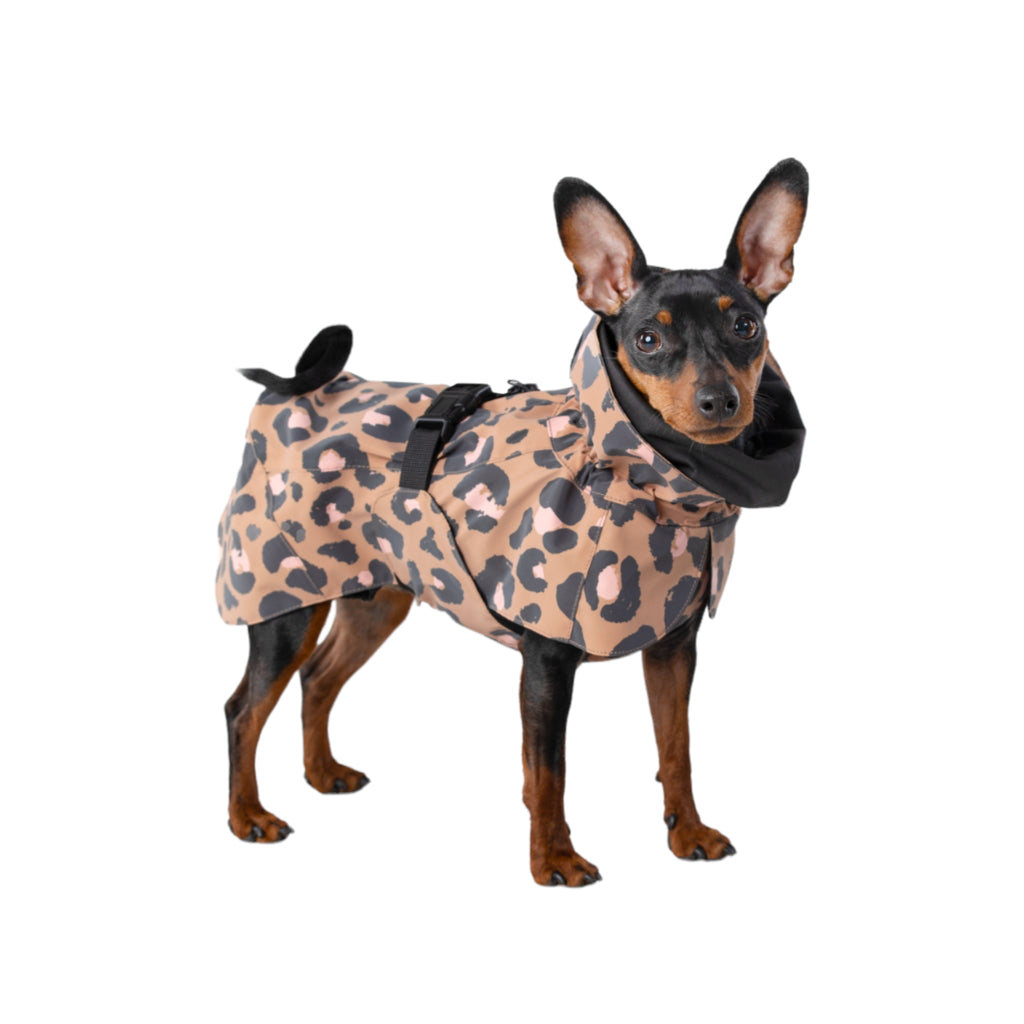 Hunderegenmantel Raincoat Visibility LITE LEOPARD reflektierend