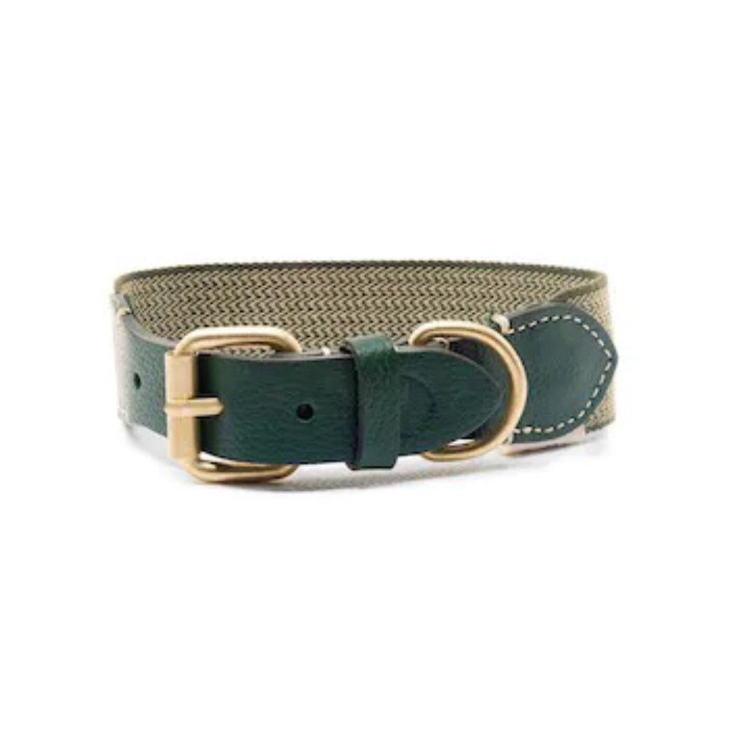 Halsband James GREEN - Buddys Dogwear