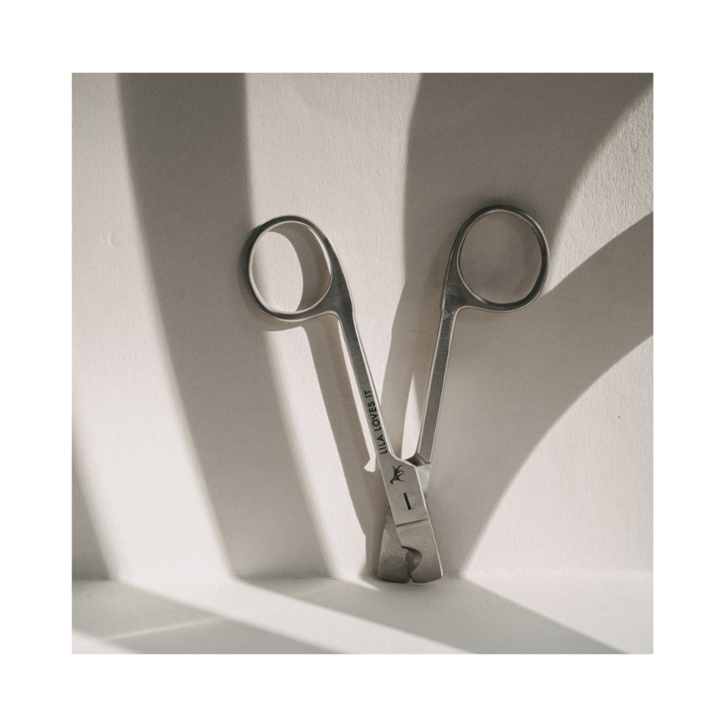 Krallenschere 2 - LILA LOVES IT