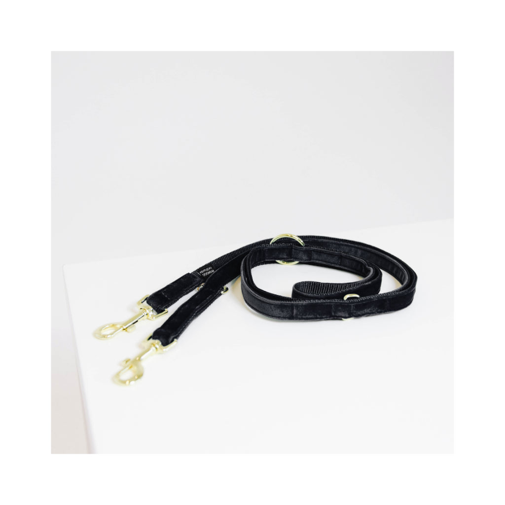 Hundeleine verstellbar VELVET Black 2 - Kentucky Dogwear