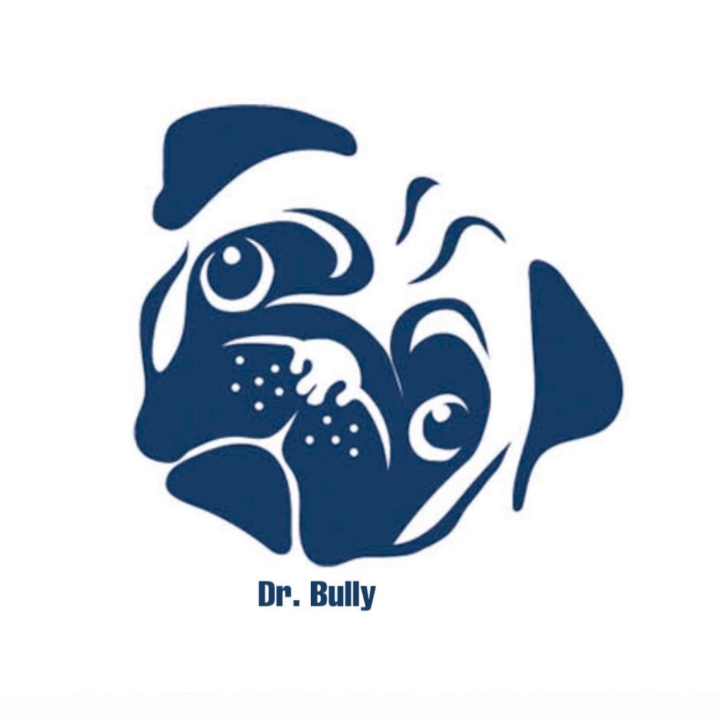 Logo Dr. Bully