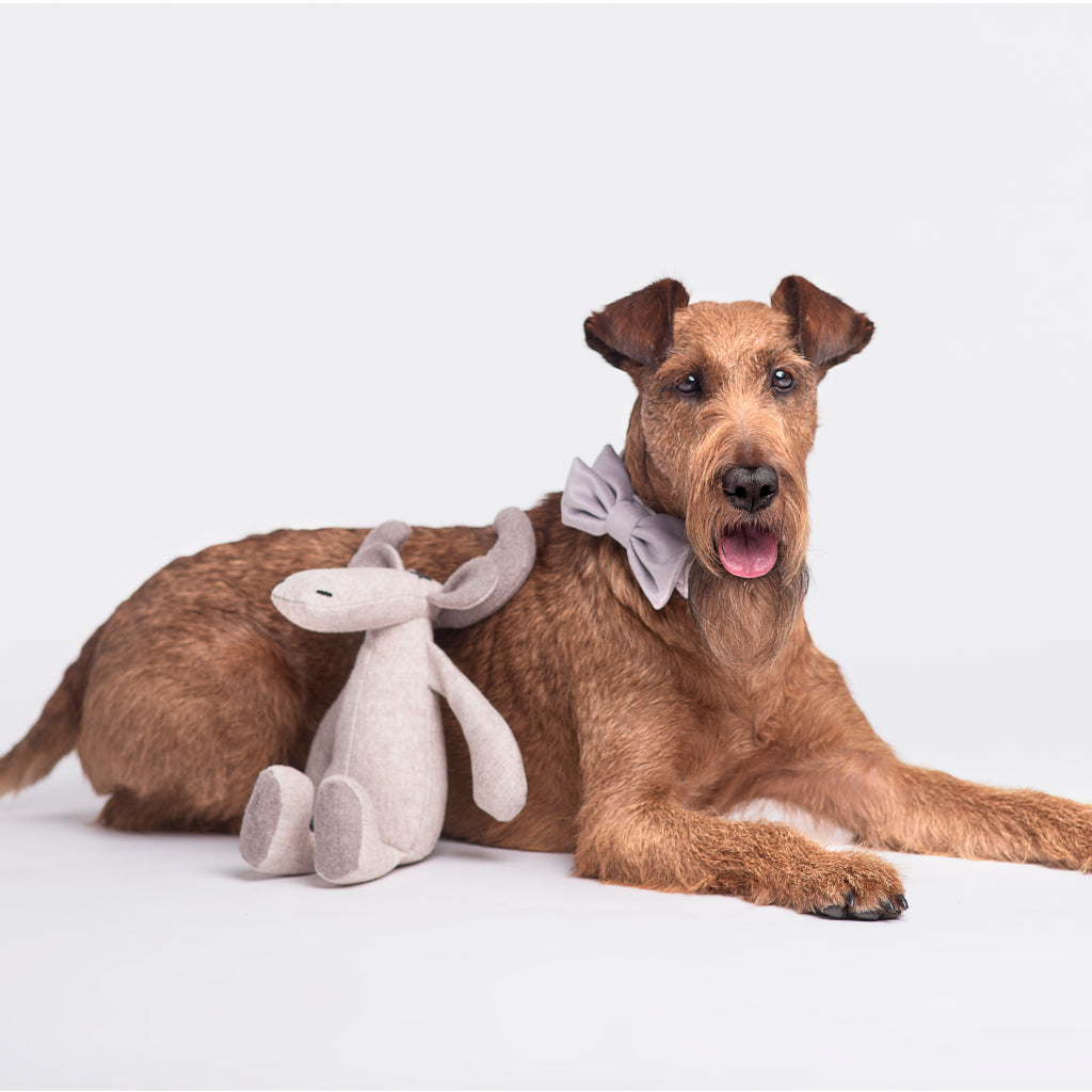 Hundespielzeug Rentier Marley vor großem Hund - LILLY