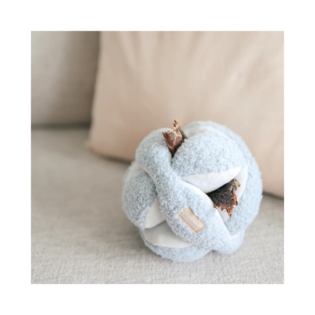 Leckerlis in MONTI Schnüffelball Hundespielzeug Baby-Blau mit Crinkles - Lambwolf Collective