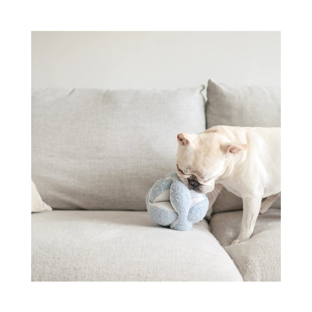 Hund mit MONTI Schnüffelball Hundespielzeug Baby-Blau mit Crinkles - Lambwolf Collective