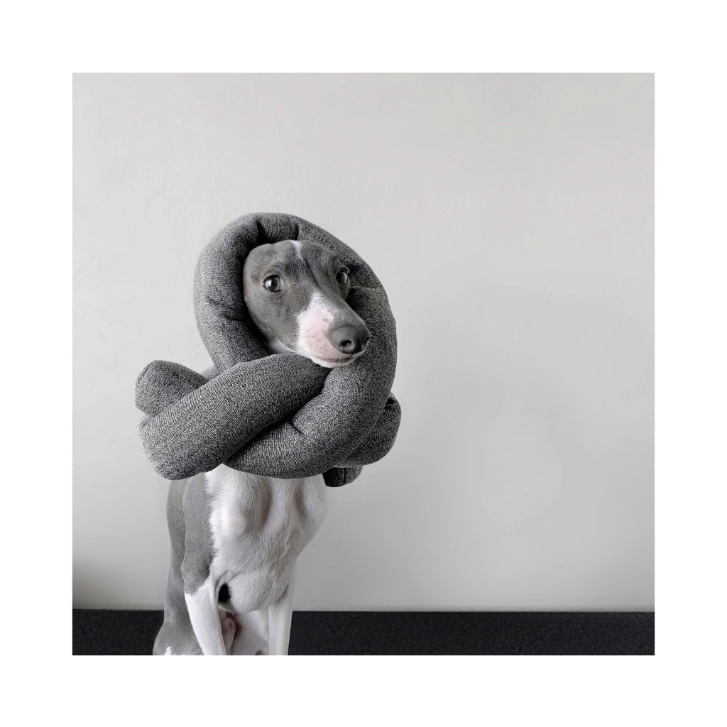 Hund mit NOU Hundespielzeug Nudel Knoten in Dunkelgrau 2 - Lambwolf Collective