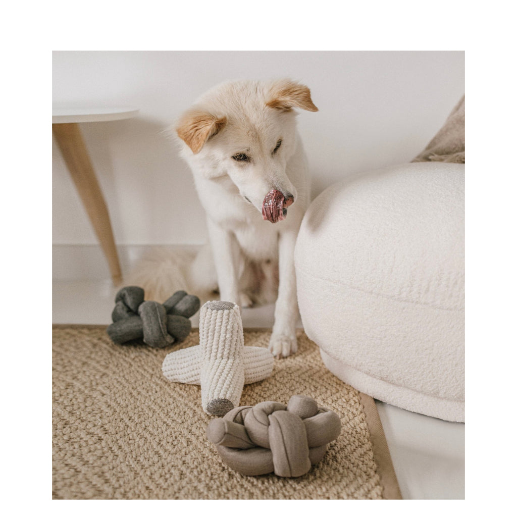 Hund mit NOU Hundespielzeug Nudel Knoten in Dunkelgrau 3 - Lambwolf Collective