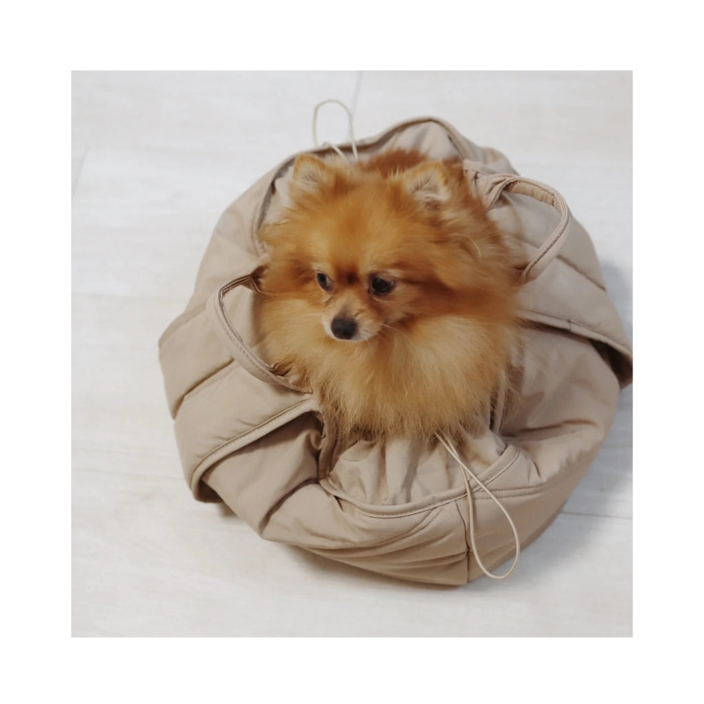 Hund in OLLA Hundetragetasche BEIGE - Lambwolf Collective