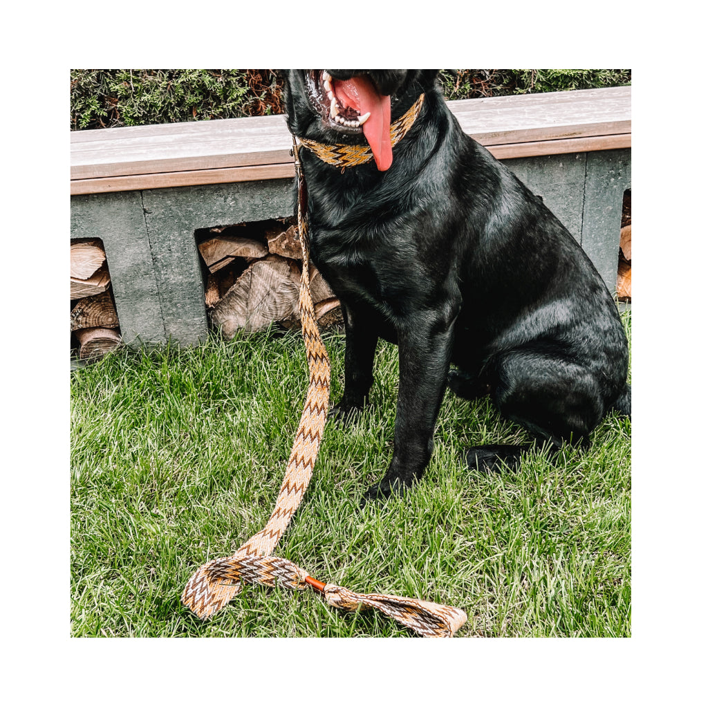 BOHO Hundeleine Peruvian GOLD