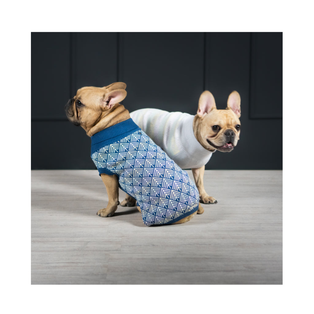 Frenchies mit Hundepullover PULLO blau & grau - LABBVENN