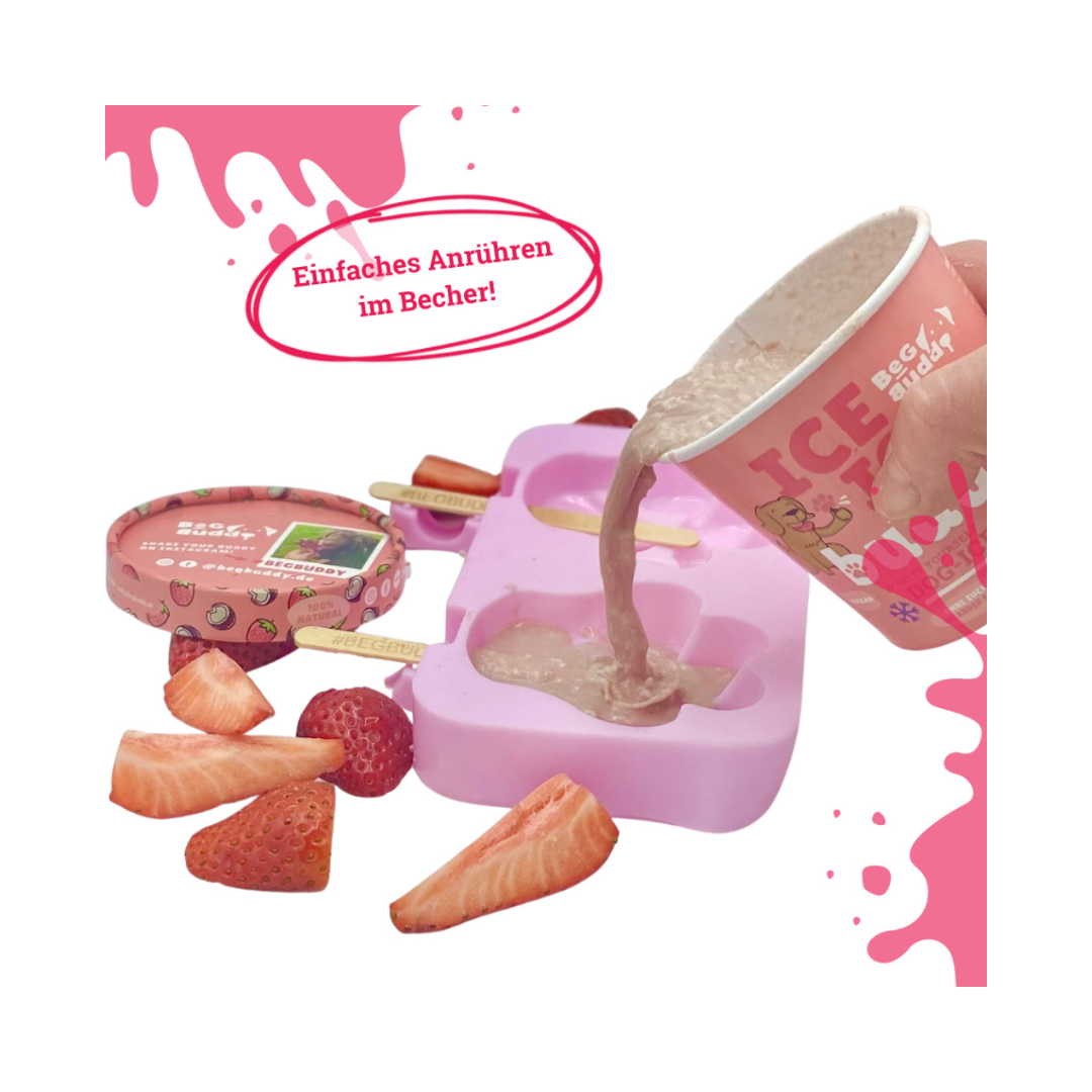 Hundeeis mit Erdbeere, Kokos und Quinoa Zubereitung Eisform - BeG Buddy