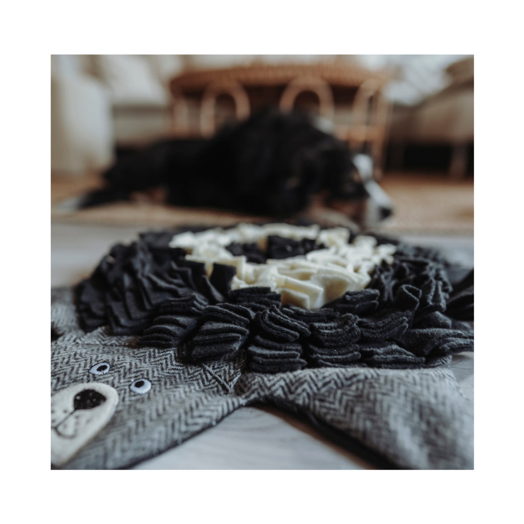 Nahaufnahme Schnüffelteppich Billund Bär Grau upgecycelt 75 cm - HUNTER