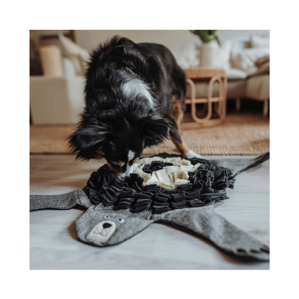 Hund am Schnüffelteppich Billund Bär Grau upgecycelt 75 cm - HUNTER