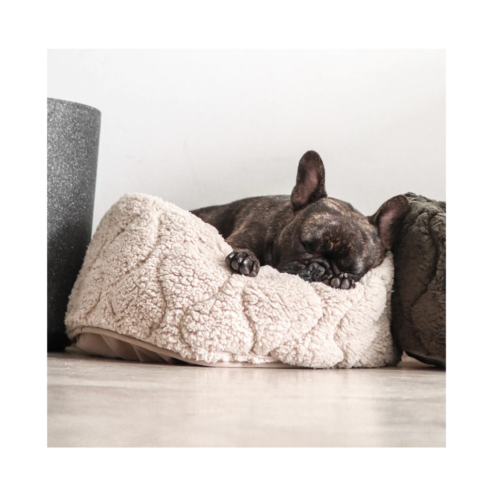 Frenchie in Hundekuschelsack TAART wendbar BEIGE - Lambwolf Collective