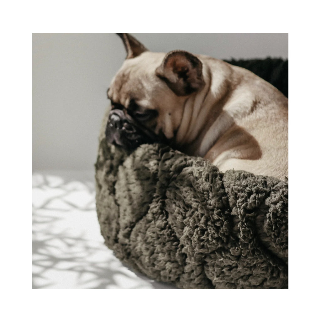 Hundekuschelsack TAART wendbar OLIV - Lambwolf Collective