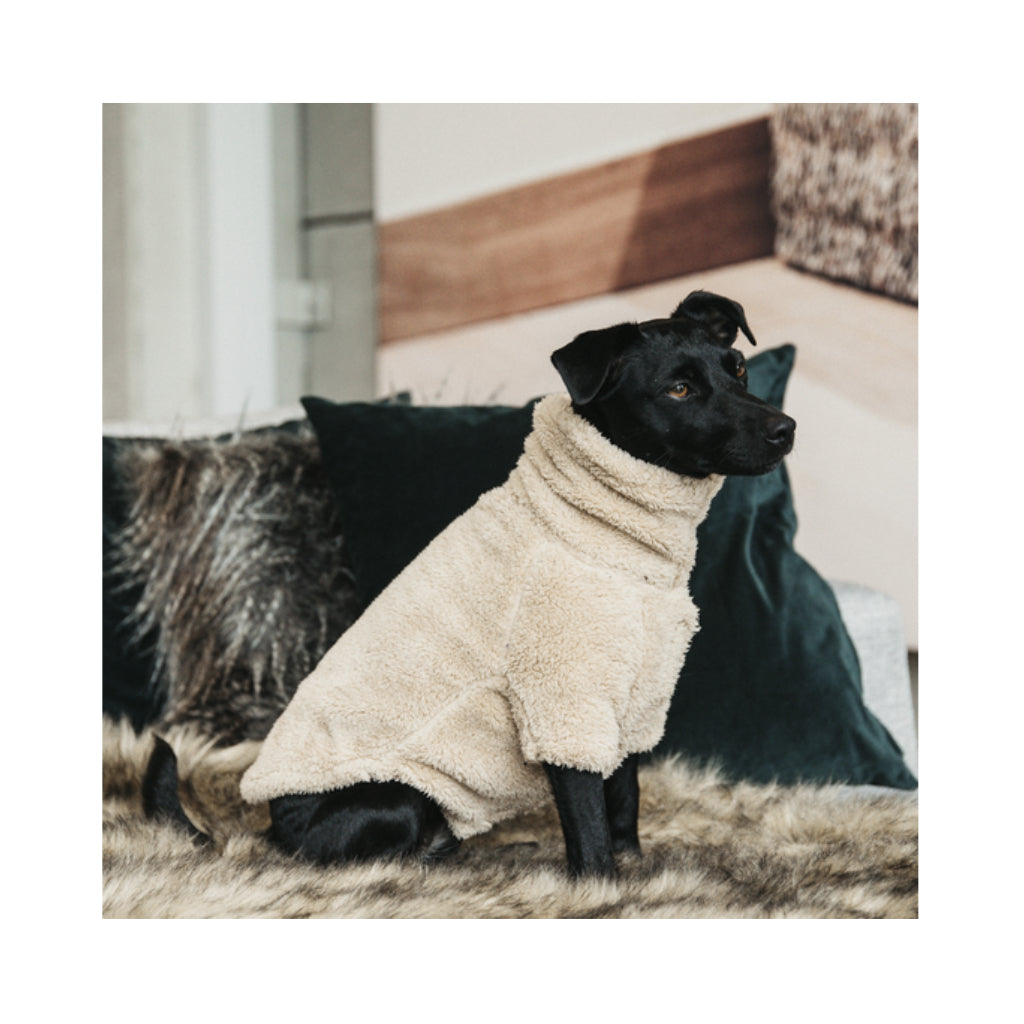 Hund mit Hundepullover Teddy Fleece - Kentucky Dogwear