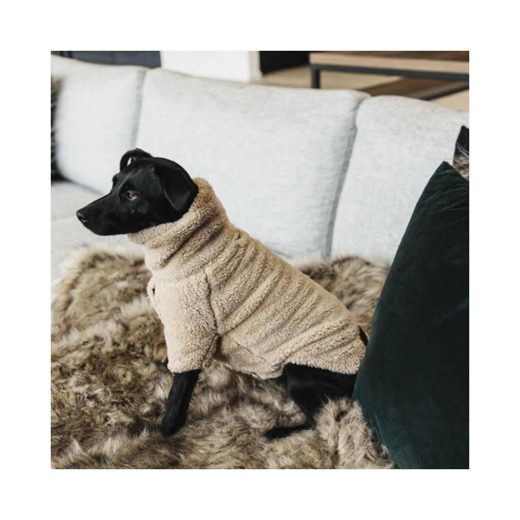 Hund mit Hundepullover Teddy Fleece 2 - Kentucky Dogwear
