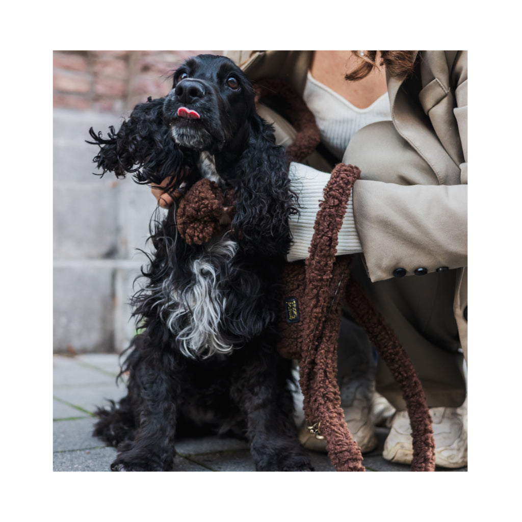 Hundeleine Teddy dark brown - Copenhagen