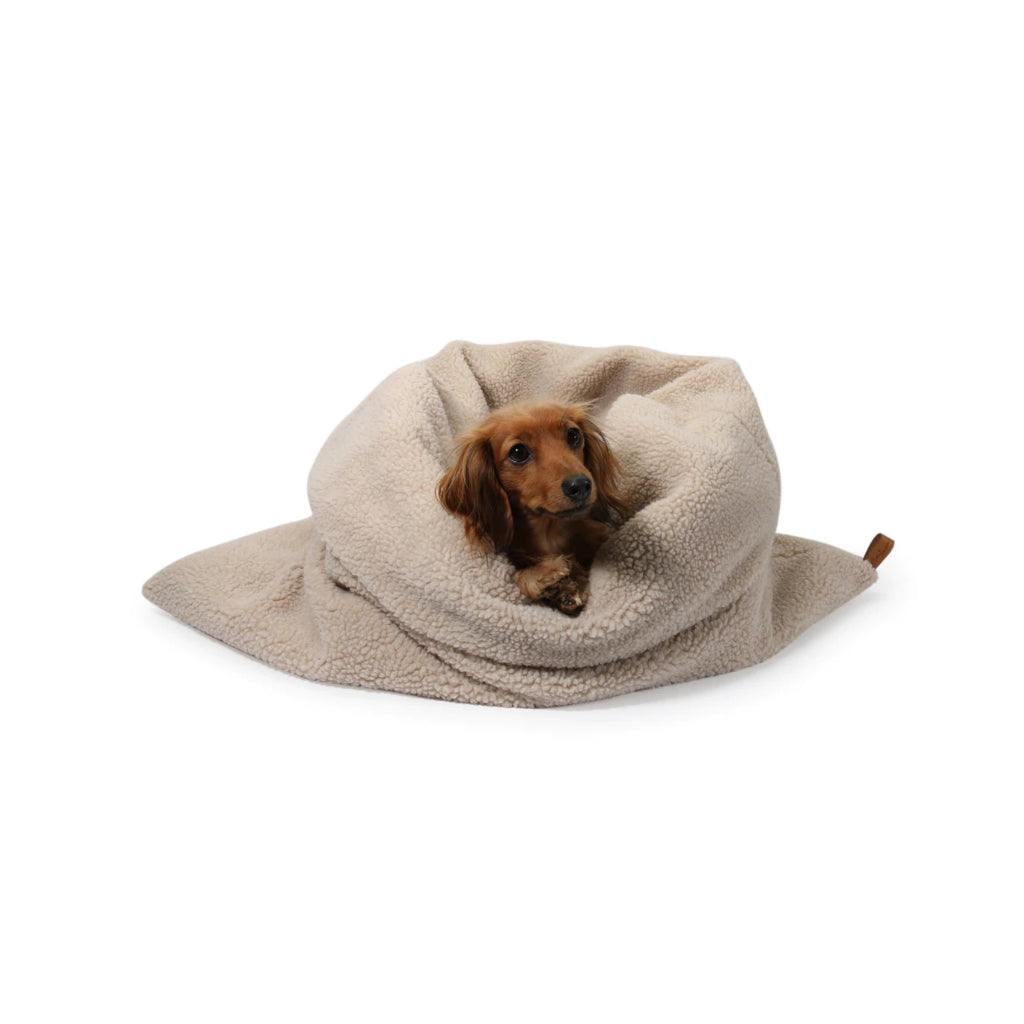 Hund in Kuschelschlafsack Teddy beige - Lieblingspfote