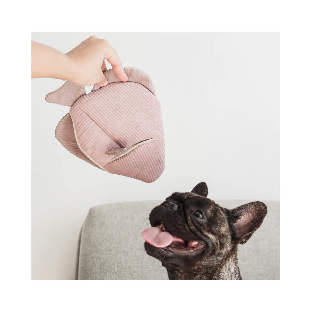 Hund mit Schnüffelspielzeug Angel Fish rosa - Lambwolf Collective