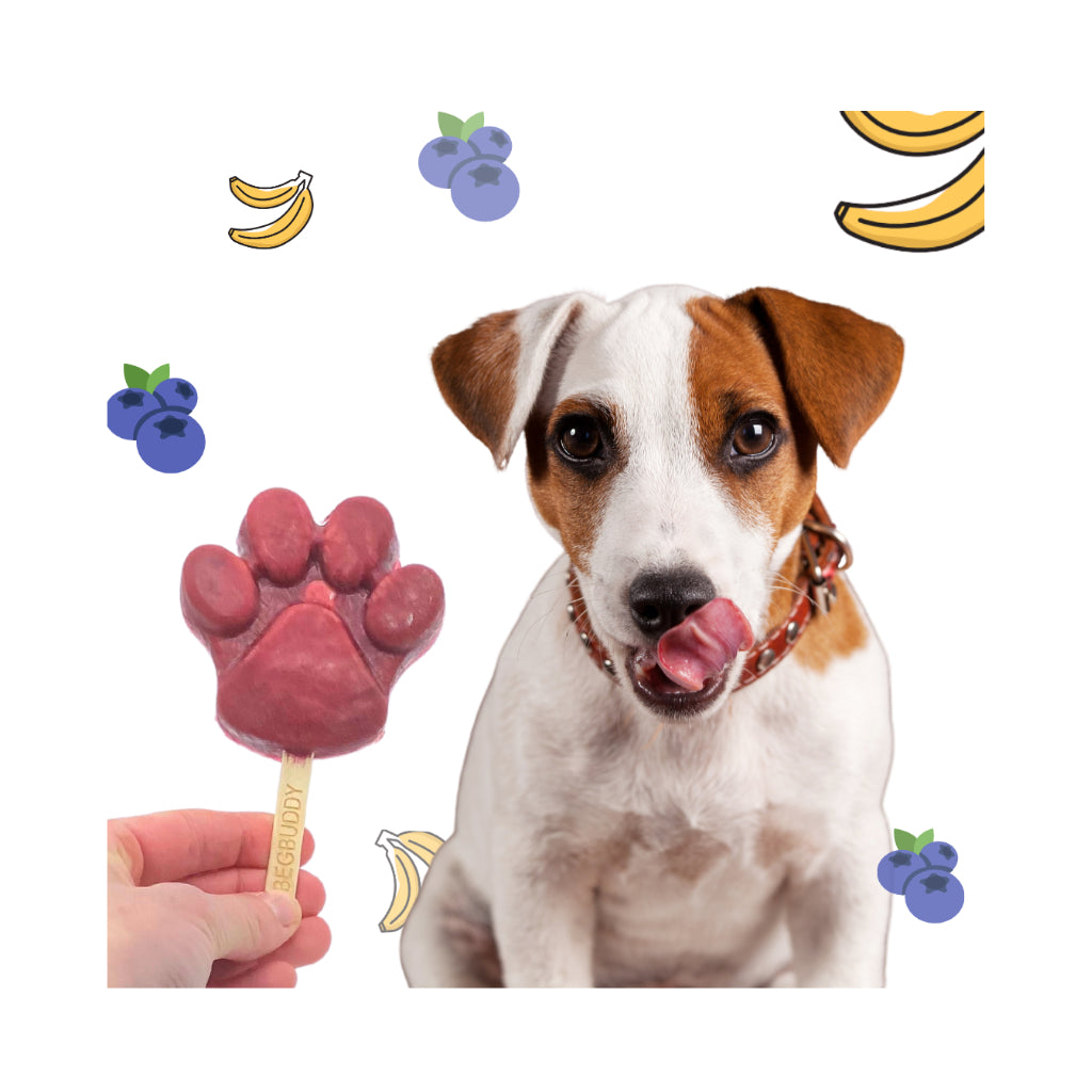 Hund mit Hundeeis mit Banane und Blaubeere - BeG Buddy