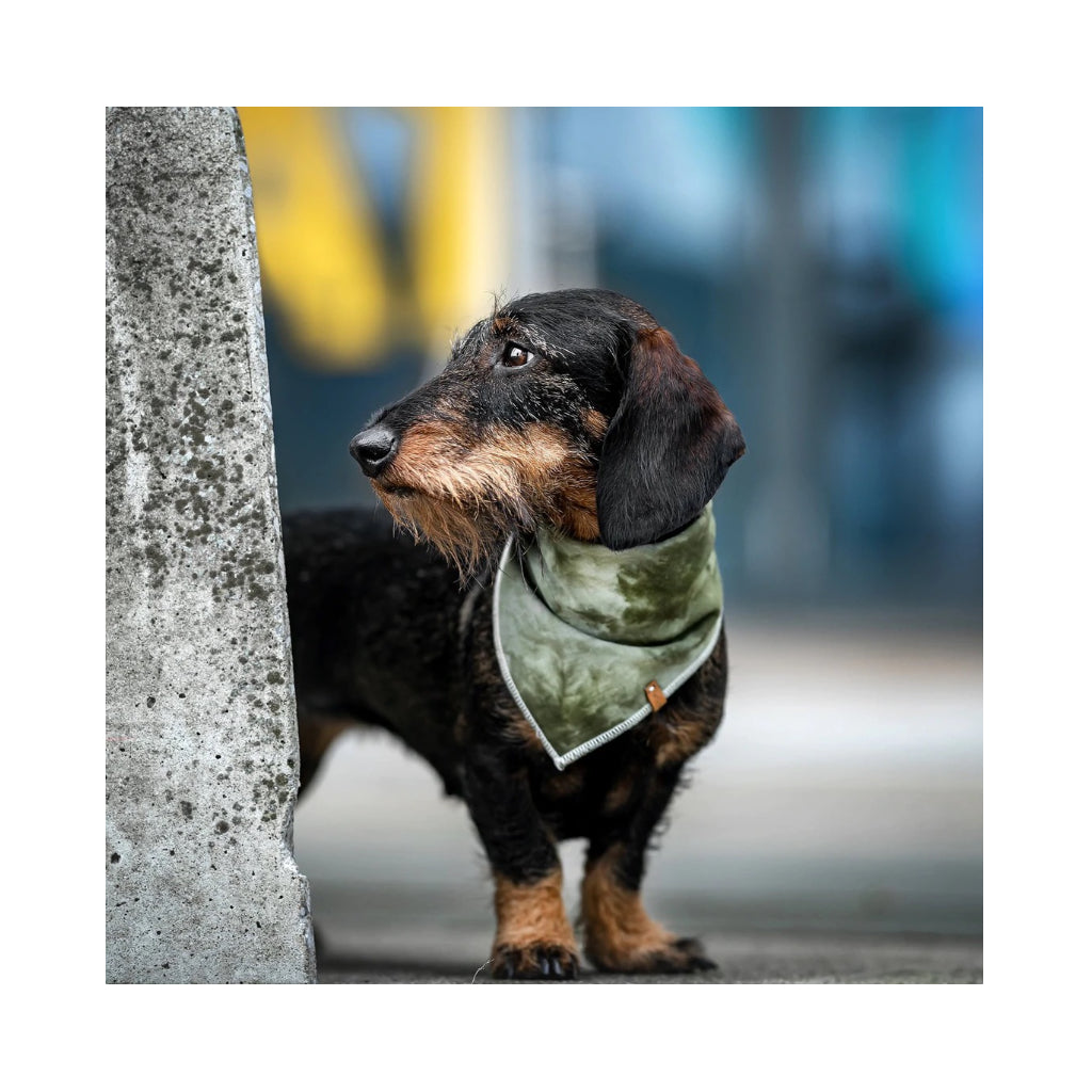 kleiner Hund mit Batik Halstuch aus Musselin olivgrün - Lieblingspfote