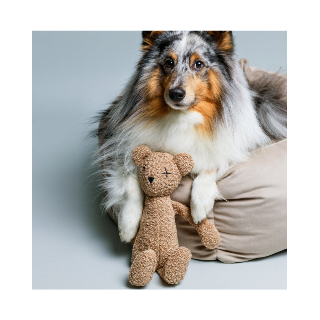 Hund mit Hundespielzeug BERTY The Bear 2 - Lillabel / Lilly