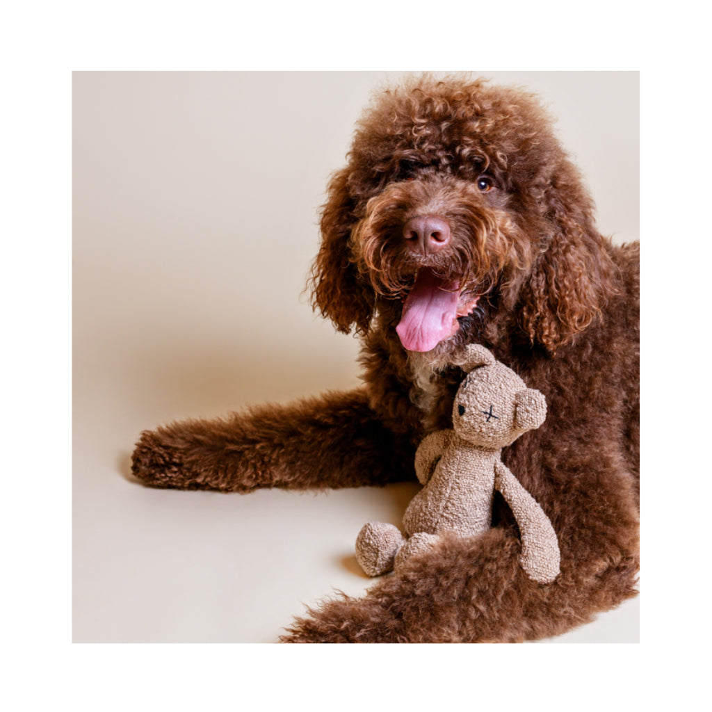 Hund mit Hundespielzeug BERTY The Bear - Lillabel / Lilly