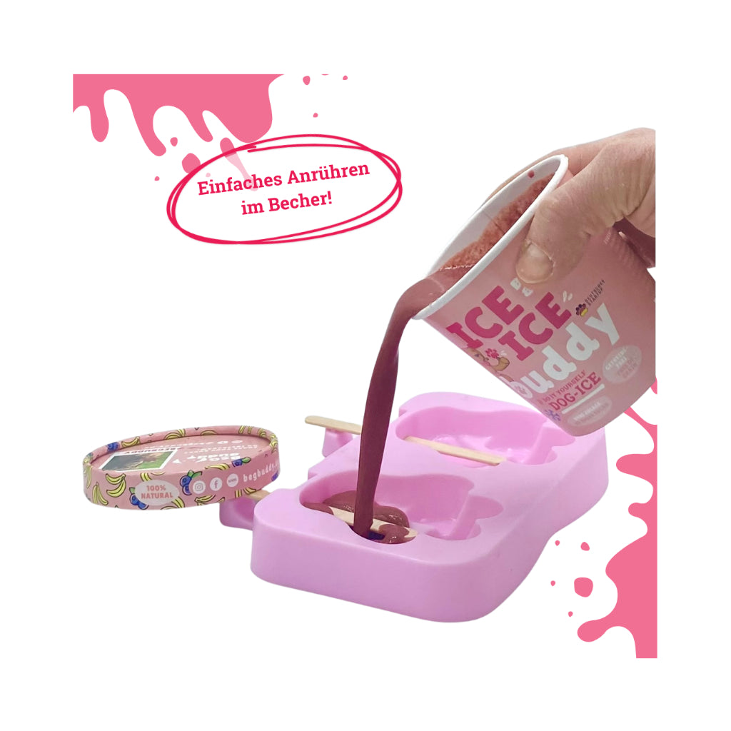 Hundeeis mit Banane und Blaubeere Zubereitung Eisform - BeG Buddy