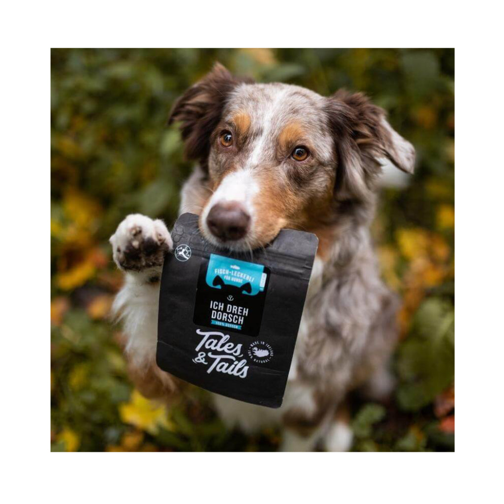 Trainingsleckerli - Ich dreh Dorsch