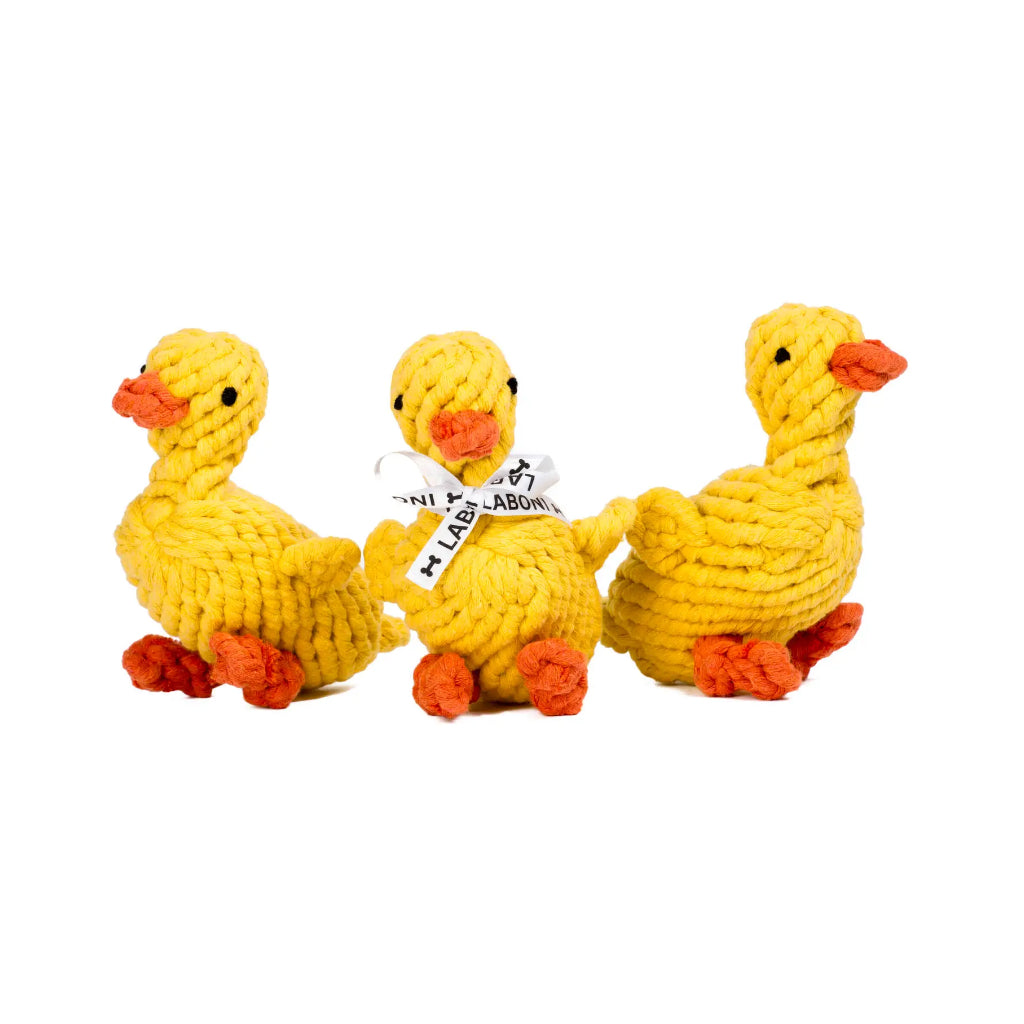 Hundekauspielzeug Ente Emma Familie - Laboni