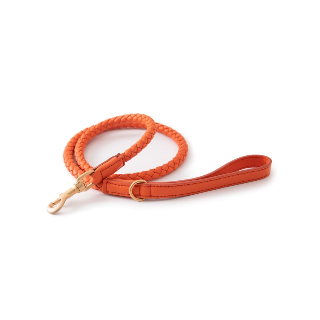 Hundeleine FERDINANDO tangerine orange - 2.8 designs for dogs